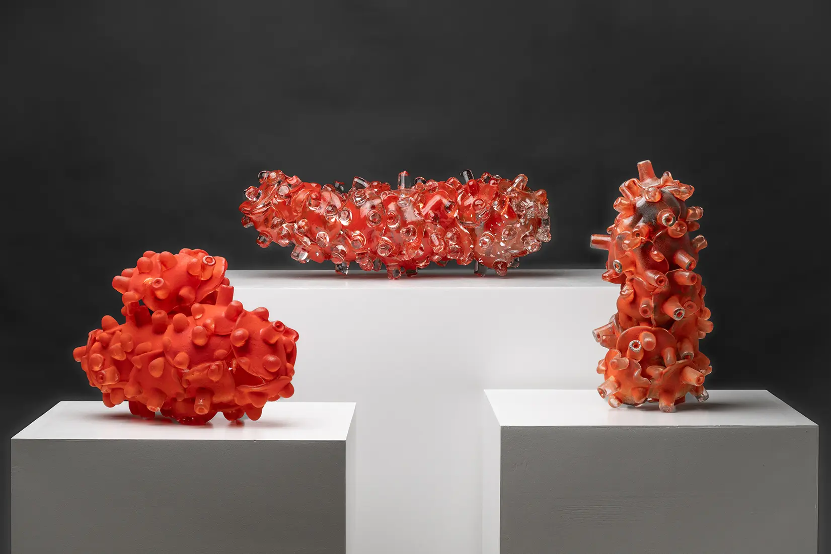 赤を基調とした３つのガラス製の作品がそれぞれ白色の展示台の上に立っている。背景は黒色である。全ての作品は蛸の吸盤の様なパーツで構成されている。一番左の作品は光沢があまりなく凹凸のあるザラザラとした粉状の質感である。大きな楕円形の上に小さな楕円形がくっついた形をしていて３つの作品の中で一番横幅が短い。真ん中の作品は光沢があり滑らかな質感をしていて、３つの作品の中で一番横幅が長い楕円形の形をしている。一番右の作品は光沢があまりないが表面の凹凸も少ない質感をしていて他の作品の中間の様な雰囲気である。３つの作品の中で一番高さがある。全ての作品の色は微妙に異なっていて明度および彩度が異なる。加えて吸盤のようなパーツは全て異なる方向を向いて配置されている。