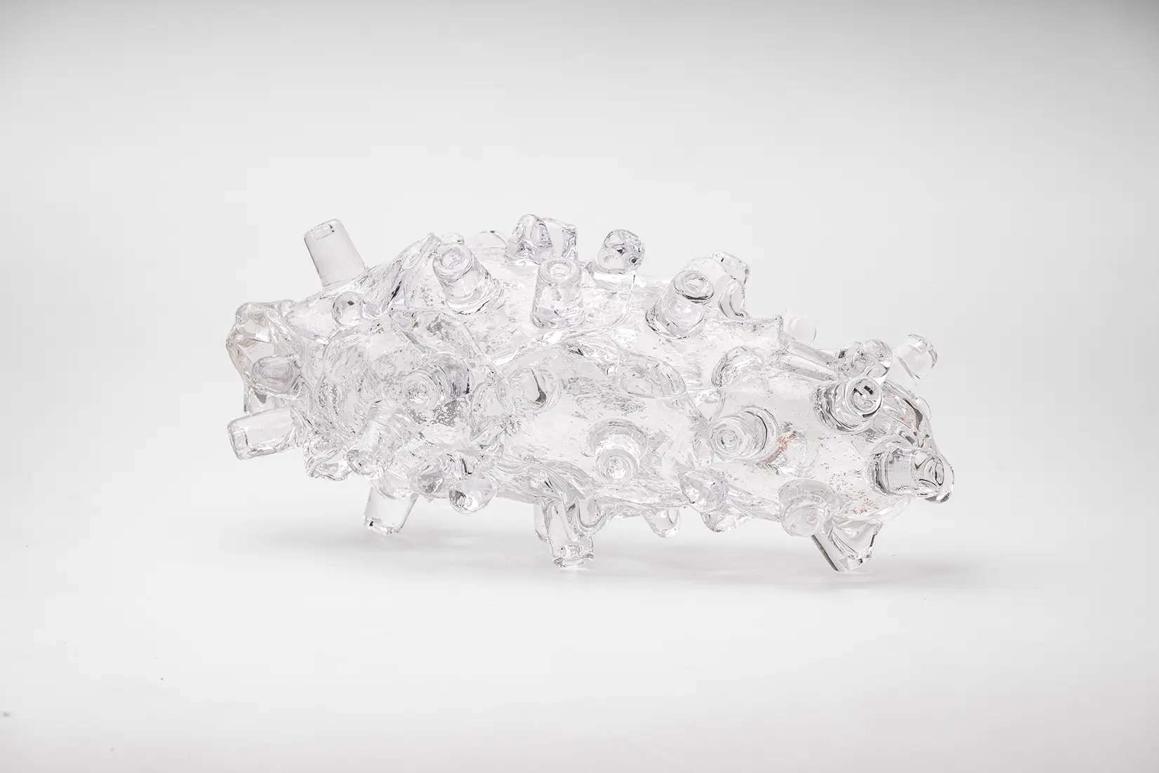 透明な蛸の吸盤のようなパーツで構成されたガラス製の作品が白い床の上においてある。色は使われておらず全てのパーツが透明で構成されている。背景と作品の境界線は質感で分かれているため、作品の存在感が消えることはない。吸盤のようなパーツは全て異なる方向を向いていて、大きさや形め微妙に違う。作品全体を4個の吸盤状のパーツでささえられている。