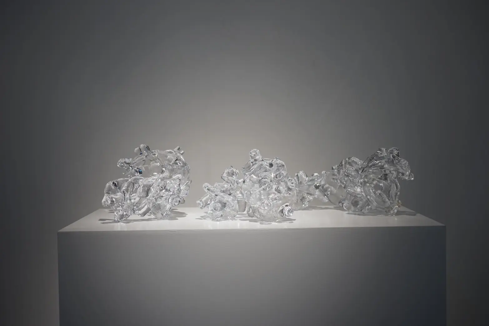 吸盤のようなパーツが集まった形をした、３つのガラス製の作品が白色の展示台の上に置かれている。背景は白色である。全ての作品には色が使われておらず、無色透明なガラス特有の色をしている。全て形が異なりパーツを繋ぎ合わせた詳細を説明するのは非常に難しい形をしている。3点ともに大きさ、長さ、高さはほとんど同一である。吸盤の先端は様々な方向を向いており、大きさ、形も異なっている。真上からスポットライトが照らされており、真下に影が落ちている。真ん中の作品が一番光を集めており両端の2点の作品に関しては暗さが目立っている。