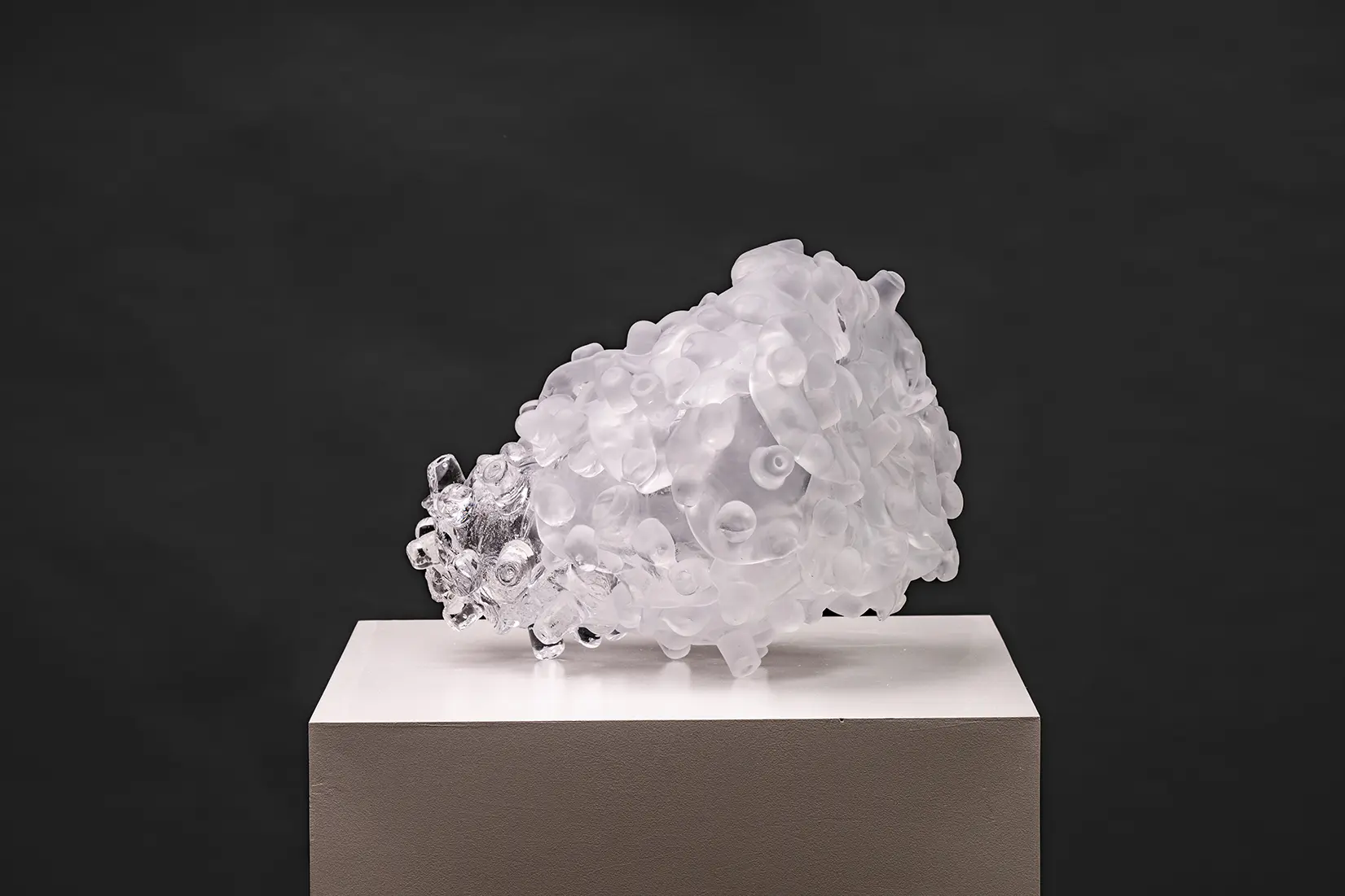 サンドブラスト加工（砂を吹きつけて曇りガラス状にする技法）が全体の3分の2にかけられた作品が白い展示台の上に置かれている。3分の1の部分は透明である。背景は黒色である。真上からスポットライトが照らされており真下に影が落ちている。蛸の吸盤のようなパーツが集まった形をしていて右端が上を向いている。きめ細かい凹凸があるザラザラした質感から滑らかな質感に右から左へと変化している。全ての吸盤は別の方向を向いていて、大きさや形が異なっている。５本の吸盤のようなパーツが作品全体を支えて立っている。