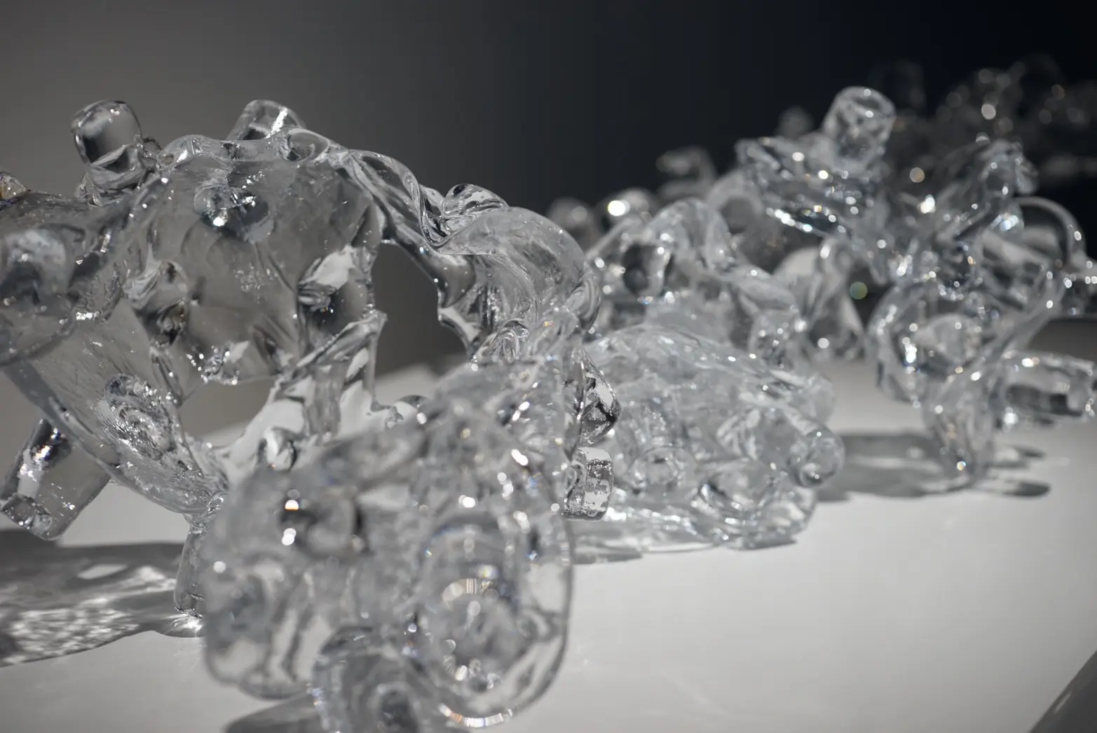 吸盤のようなパーツが集まった形をした、３つのガラス製の作品が白色の展示台の上に置かれている。背景は白色である。全ての作品には色が使われておらず、無色透明なガラス特有の色をしている。全て形が異なりパーツを繋ぎ合わせた詳細を説明するのは非常に難しい形をしている。3点ともに大きさ、長さ、高さはほとんど同一である。吸盤の先端は様々な方向を向いており、大きさ、形も異なっている。真上からスポットライトが照らされており、真下に影が落ちている。真ん中の作品が一番光を集めており両端の2点の作品に関しては暗さが目立っている。