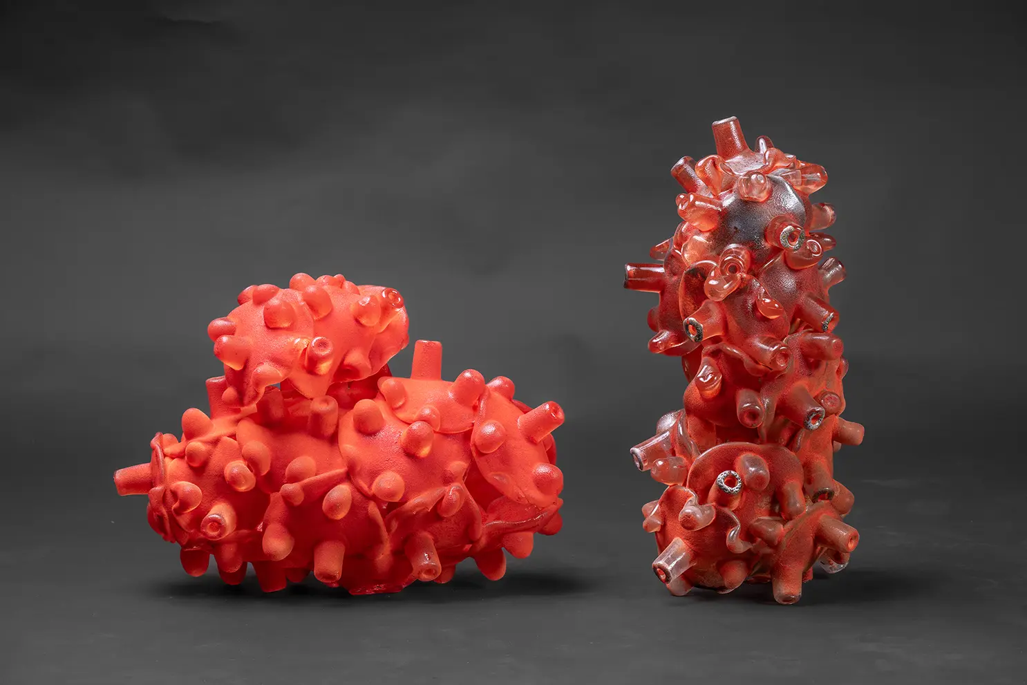 赤を基調とした２つのガラス製の作品がそれぞれ白色の展示台の上に立っている。背景は黒色である。全ての作品は蛸の吸盤の様なパーツで構成されている。左の作品は光沢があまりなく凹凸のあるザラザラとした粉状の質感である。大きな楕円形の上に小さな楕円形がくっついた形をしていて２つの作品の中で一番横幅が短い。右の作品は光沢があまりないが表面の凹凸も少ない質感をしていて他の作品の中間の様な雰囲気である。２つの作品の中で一番高さがある。全ての作品の色は微妙に異なっていて明度および彩度が異なる。加えて吸盤のようなパーツは全て異なる方向を向いて配置されている。